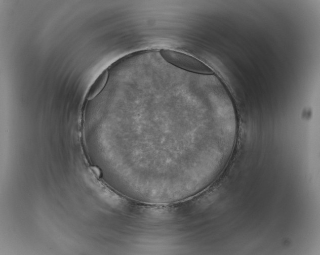 X0000111220948200907231437