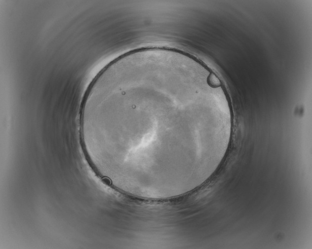 X0000111220951200907231437