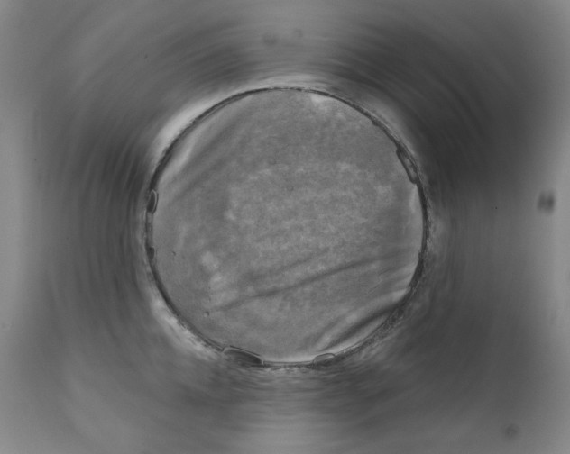 X0000111220952200907231437