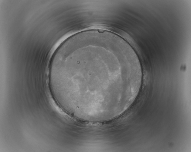 X0000111220955200907231437