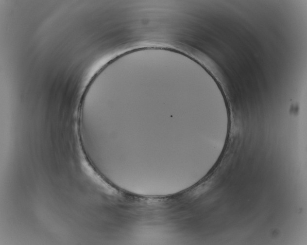 X0000111220958200907231437