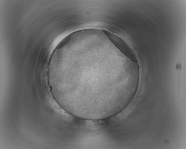 X0000111220960200907231438