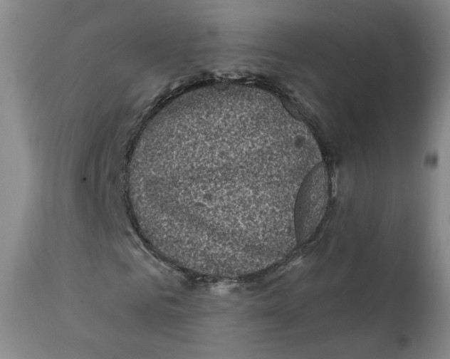 X0000111220961200907231437