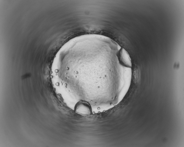X0000111220963200907231437