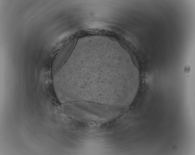 X0000111220965200907231437