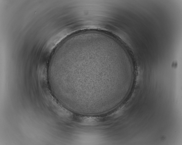 X0000111220969200907231437