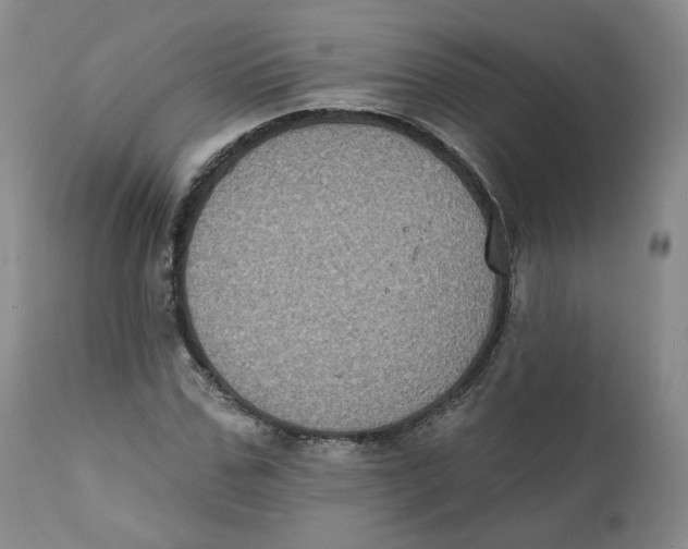 X0000111220971200907231437