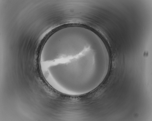 X0000111220975200907231437