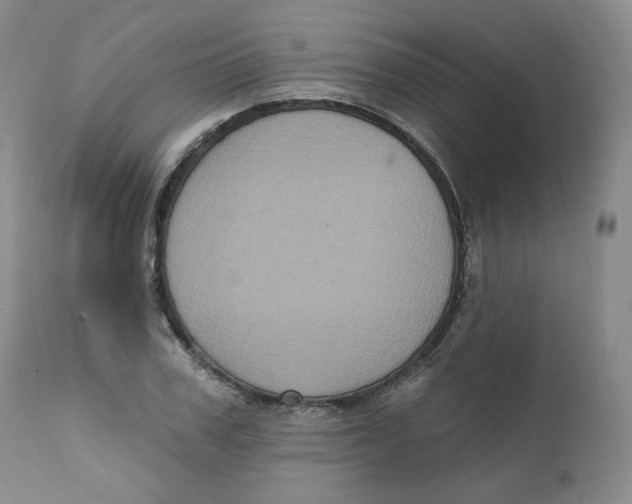 X0000111220979200907231437
