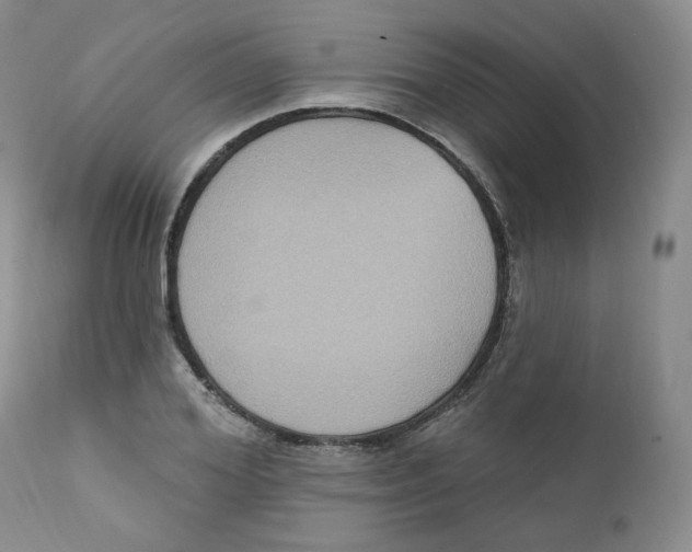 X0000111220980200907231437