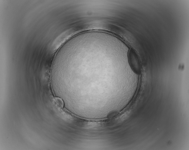 X0000111220985200907231437