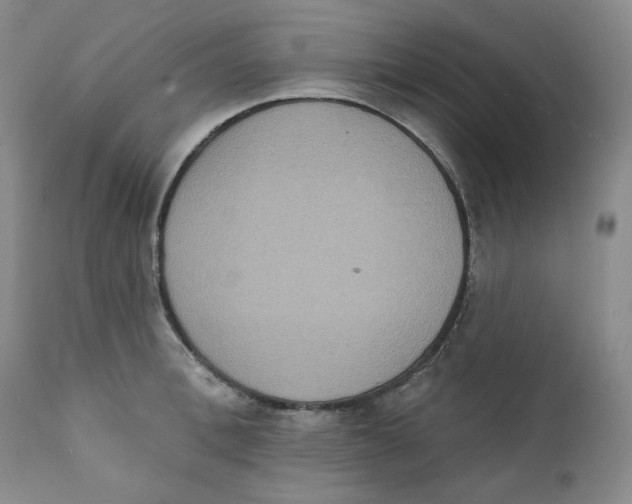 X0000111220996200907231436