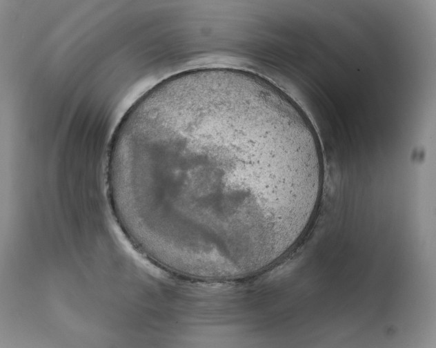X0000111220997200907231436