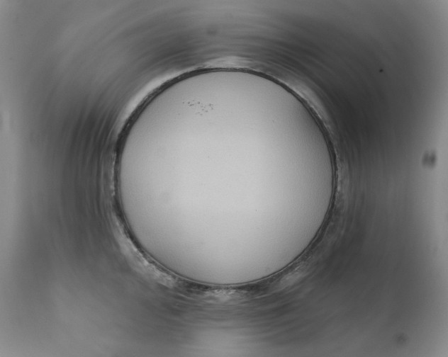 X0000111221000200907231436