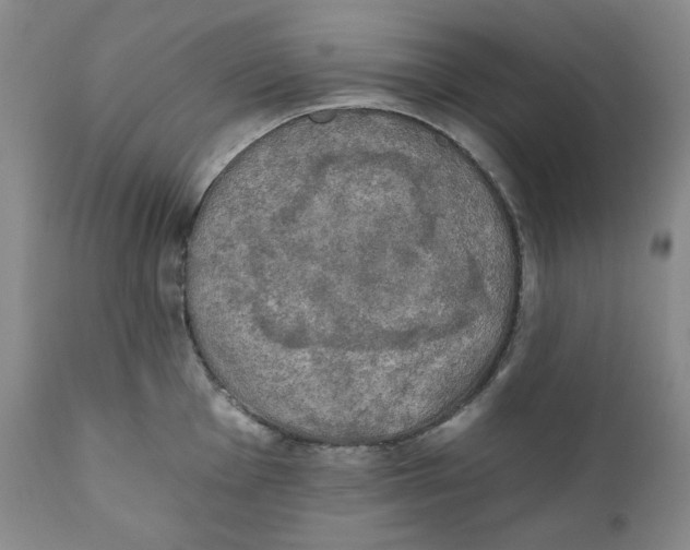 X0000111221001200907231436