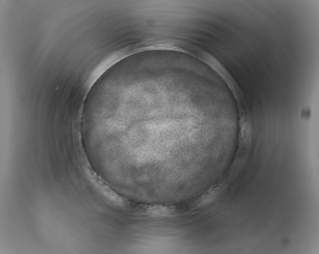 X0000111221002200907231436