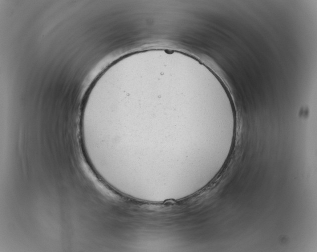 X0000111221005200907231436