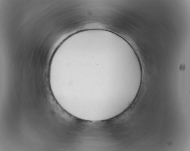 X0000111221008200907231436