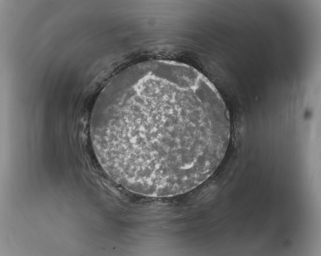 X0000111221010200907231436