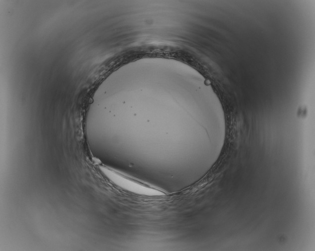 X0000111221013200907231436