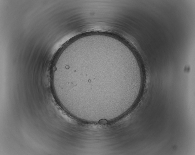X0000111221018200907231436