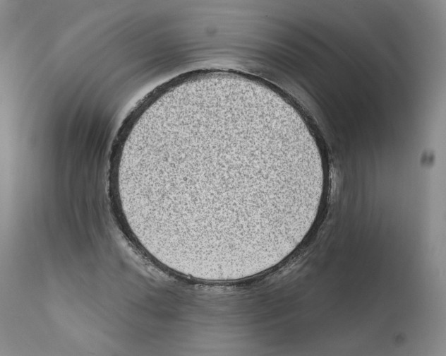 X0000111221020200907231436