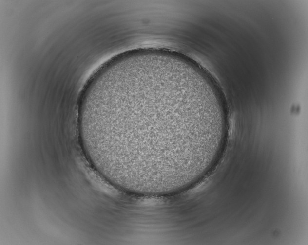 X0000111221021200907231436