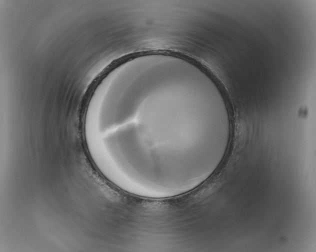 X0000111221023200907231436