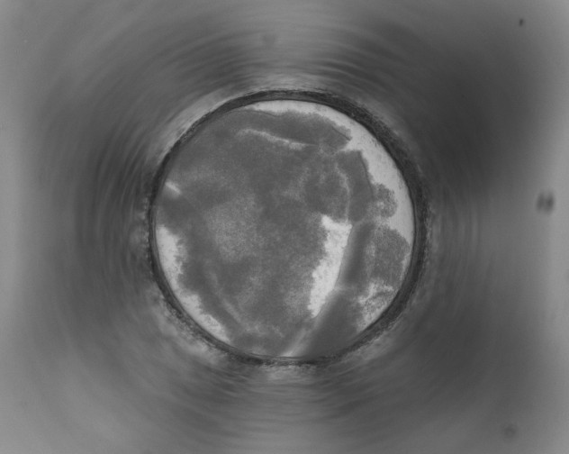 X0000111221025200907231436