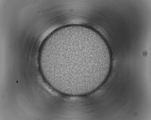 X0000111221026200907231436