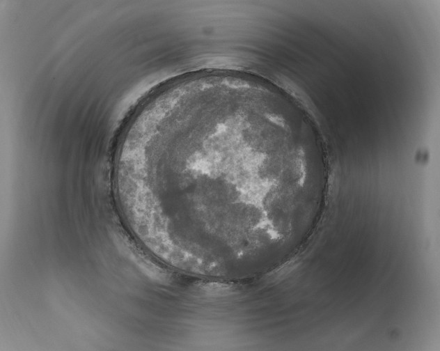 X0000111221027200907231436