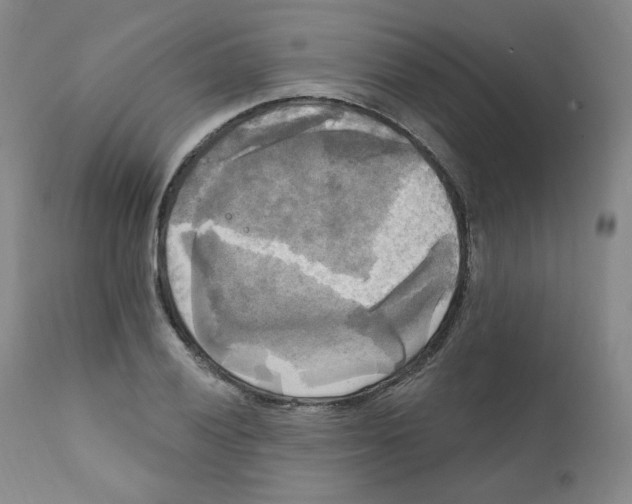 X0000111221028200907231436