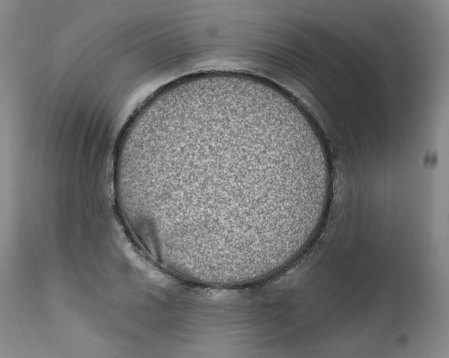 X0000111221030200907231436
