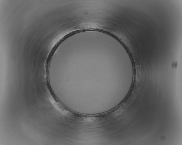 X0000111221031200907231436