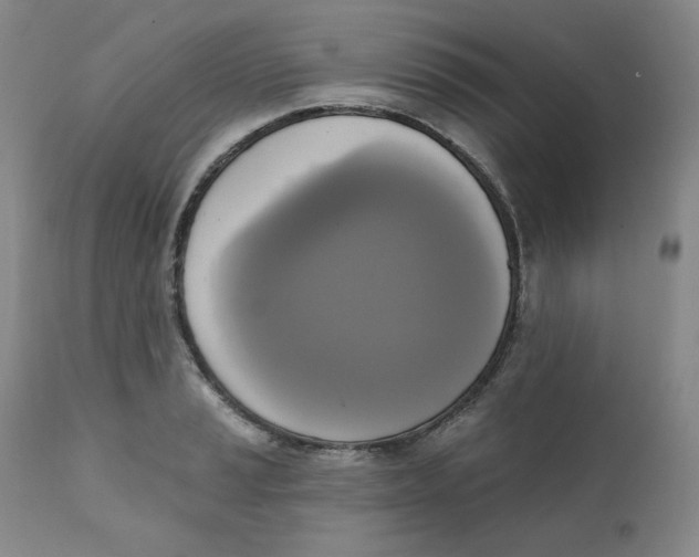 X0000111221037200907231436
