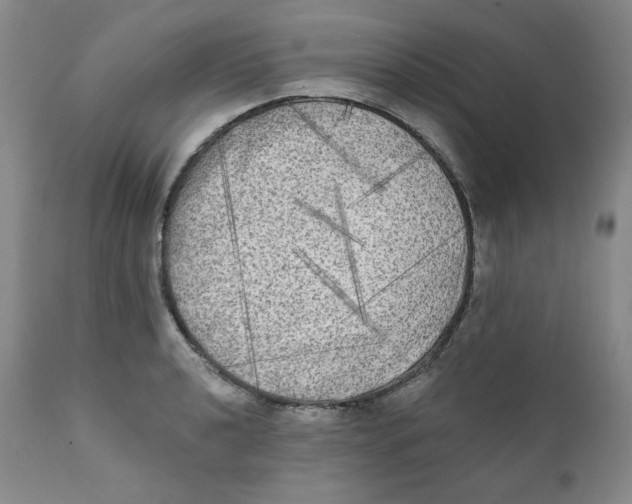 X0000111221040200907231436