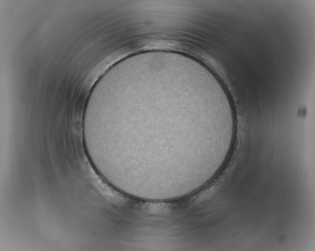 X0000111221041200907231436