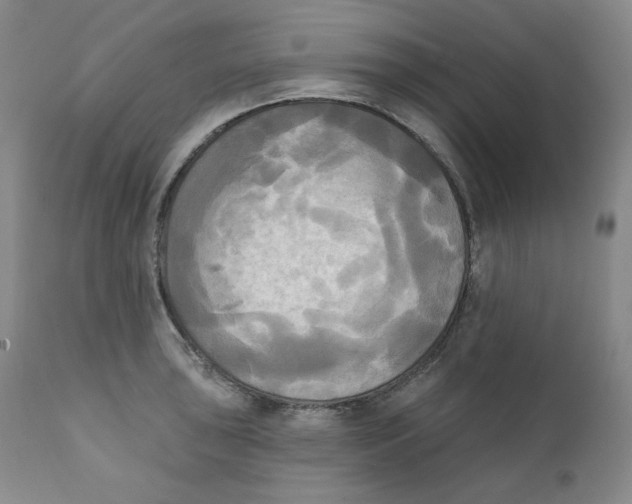 X0000111221043200907231436