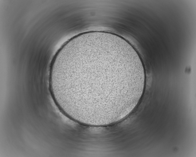 X0000111221046200907231436