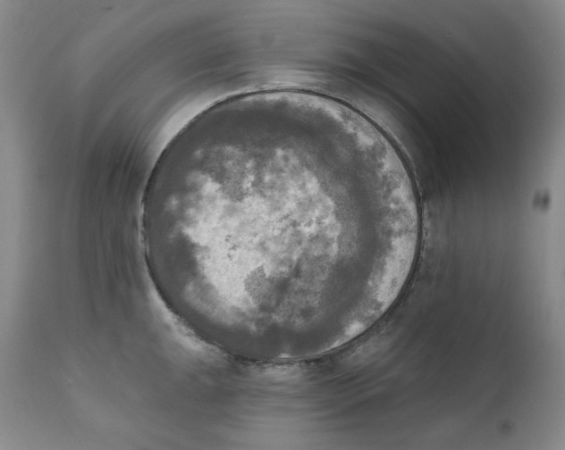 X0000111221047200907231436