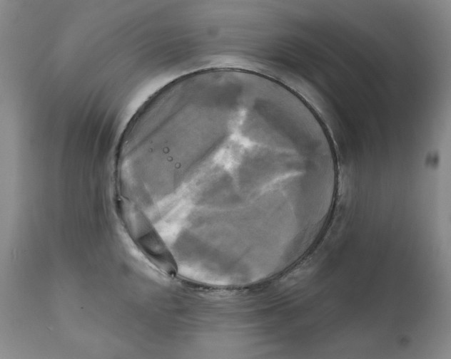 X0000111221048200907231436