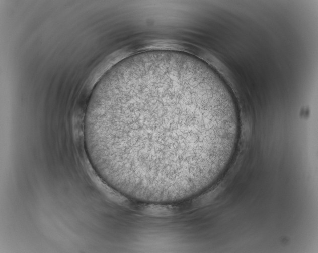 X0000111221049200907231436