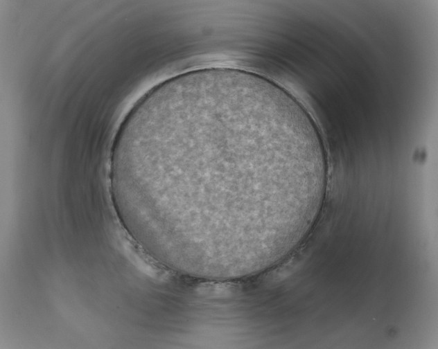 X0000111221051200907231436