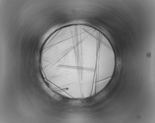 X0000111221054200907231436