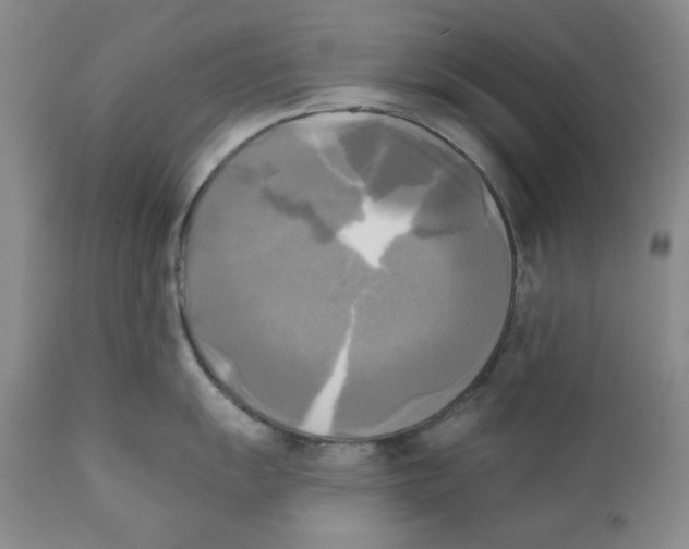 X0000111221055200907231436