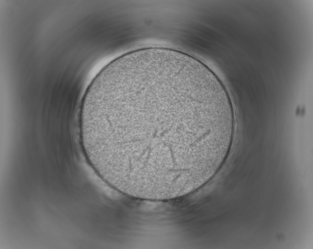 X0000111221056200907231436