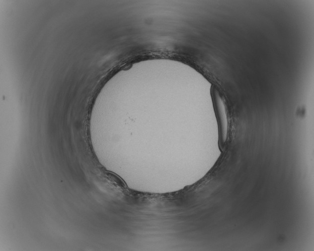 X0000111221057200907231436