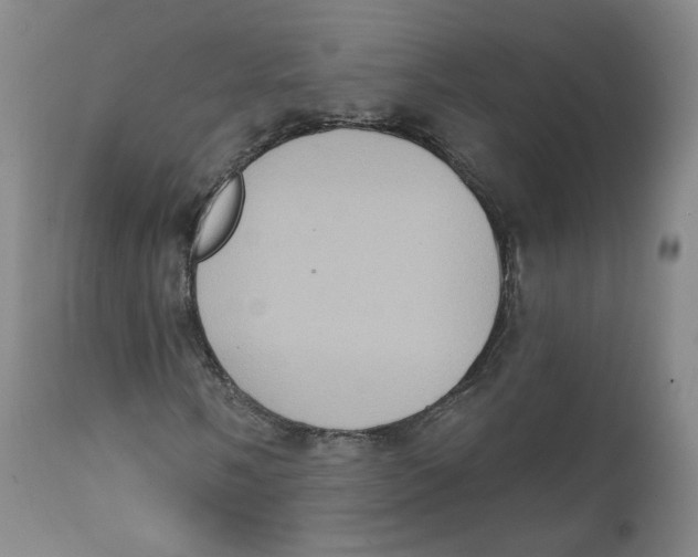 X0000111221058200907231436