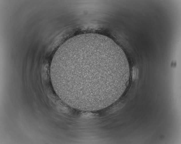 X0000111221059200907231436