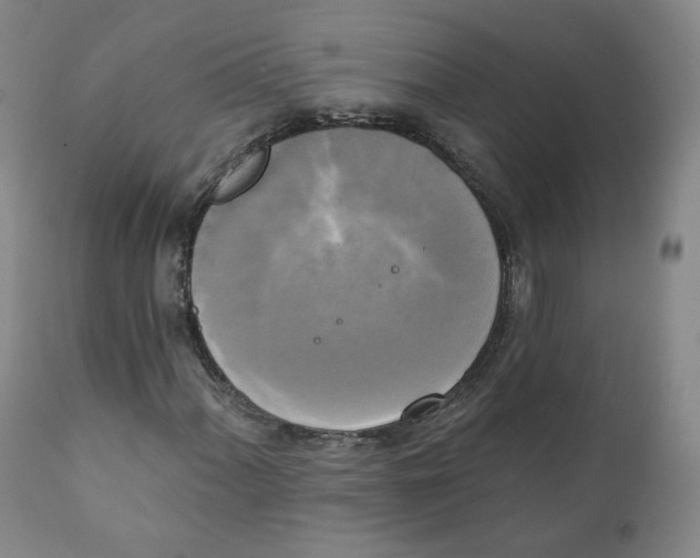 X0000111221060200907231435